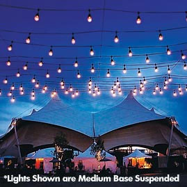 Festival Festoon Party String Light Strand