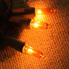 Festive Turkey Party String Lights