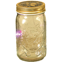 My Pet Firefly - 1740910P