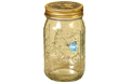 My Pet Firefly - Lighted Firefly in a Jar - Blue - GC1740910B