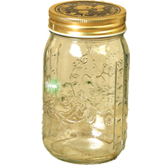 My Pet Firefly - 1740910P