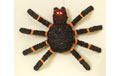 19" 3D LED Spider with Light Up Eyes - GC1722720