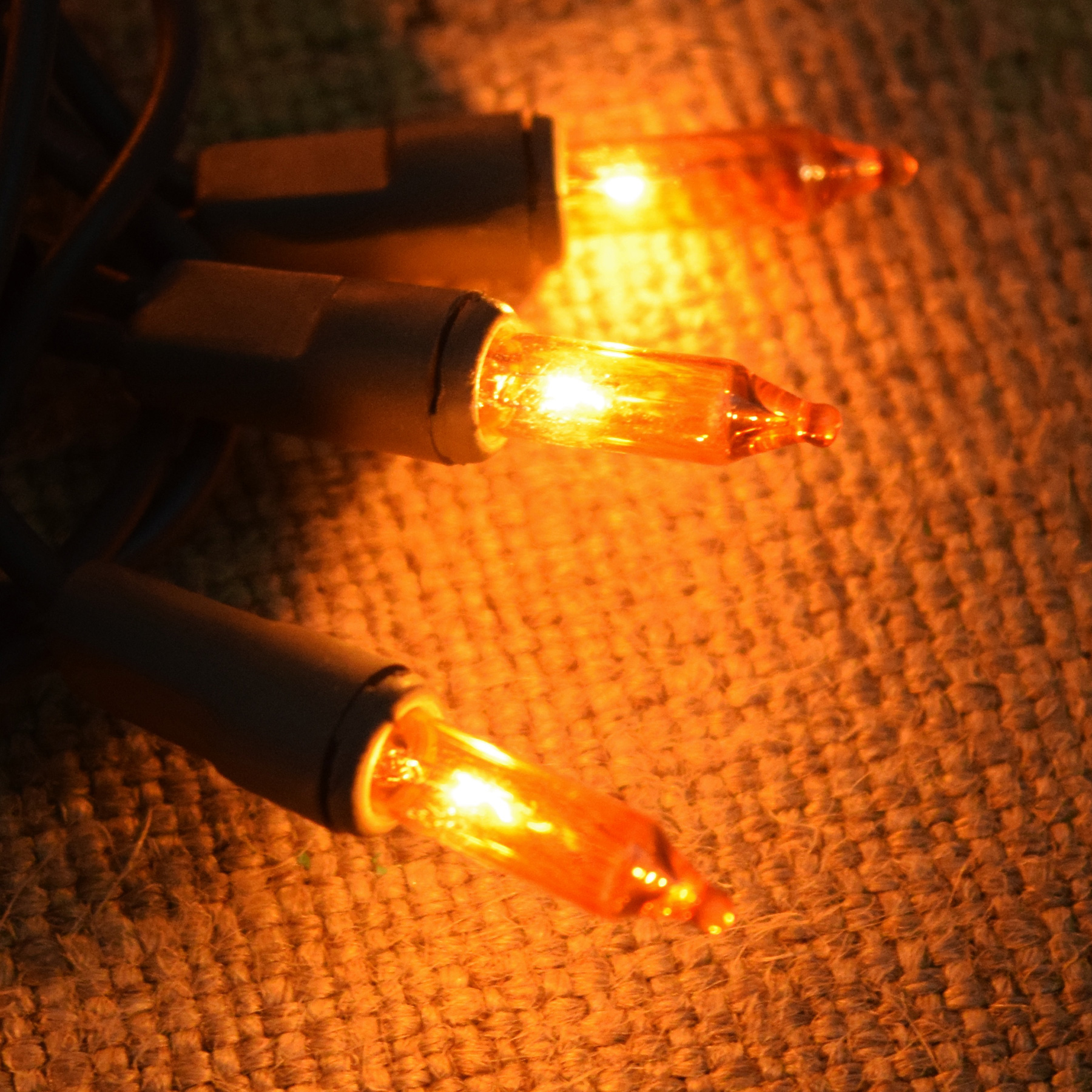 Harvest Amber Light Set