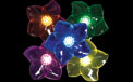 8 Battery Operated Acrylic Flower Light Set - GC1741170