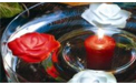 H2Glo™ Water-Activated Illuminating Flower Glow Lights - Garden Party Water Lights