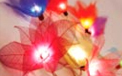 Natural Blooming Flower Party Lights, Real Flower String Lights & Stringlight Strands - Garden Party Lights