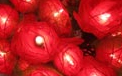 Natural Rose Romantic Flower Party Lights, Real Rose Flower String Lights & Stringlight Strands - Garden Party Lights