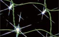 LED Net Stringlight Light Strands, Bush & Shrubbery Light Bulb Strands - LED Light Strands & Party Lights