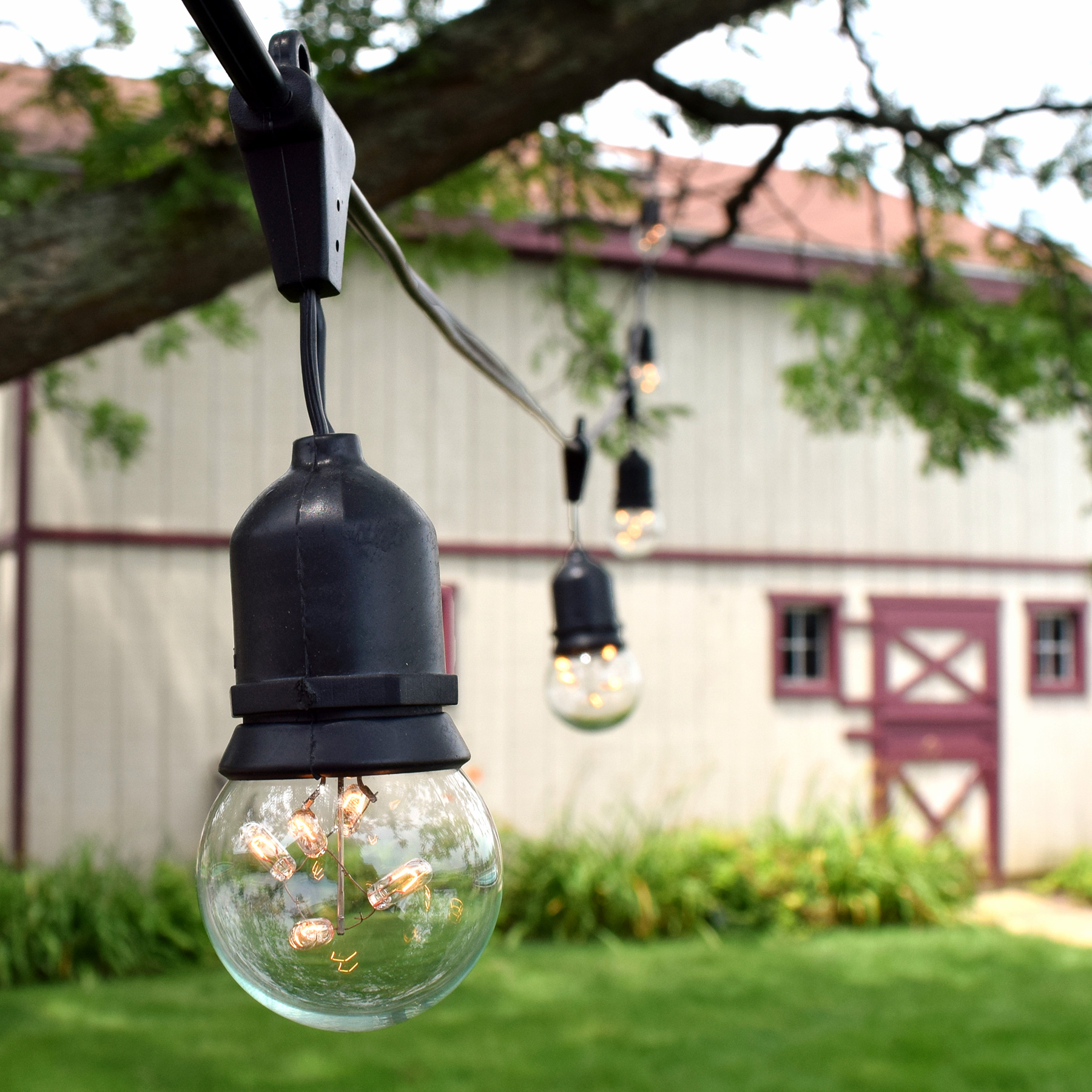 Commercial Light Strand Kit