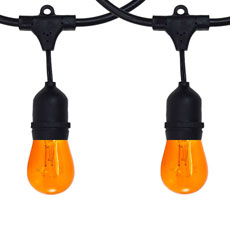 Halloween All-In-One String Light Kits