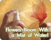 Flowers Bloom With a Mist of Water!