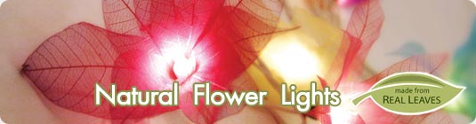 Natural Blooming Flower Party Lights, Real Flower String Lights & Stringlight Strands - Garden Party Lights