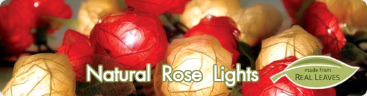 Natural Rose Romantic Flower Party Lights, Real Rose Flower String Lights & Stringlight Strands - Garden Party Lights
