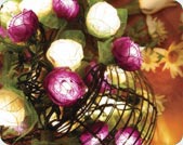 Natural Rose Party String Lights