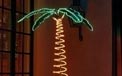 7' Deluxe Pre-Lit Rope Light Palm Tree