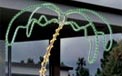 6' Pre-Lit Rope Light Palm Tree - 735100