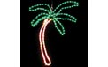 36" x 30" Pre-Lit Wall Mounted Rope Light Palm Tree - HSM-PALM