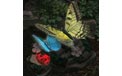 Butterfly on Rock Garden Glow Light - 3312