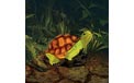 Red Turtle Garden Glow Light - 3375