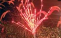 36" LED Burst Garden Stake Light Set - Red - 140 Lights - 816950