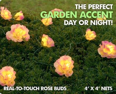 4' x 4' Real-To-Touch Rose Bud Net-Style Stringlight Set - Pink/Cream Roses - 20 Clear Mini Lights