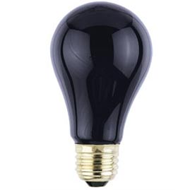 Westinghouse [03920] 75 Watt Medium Base Indoor Blacklight Bulb - Blacklights &amp; Bulbs