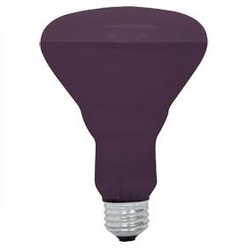 GE Lighting [22748] 75 Watt R30 Indoor Blacklight Reflective Bulb - Blacklights &amp; Bulbs