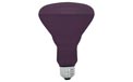 GE Lighting [22748] 75 Watt R30 Indoor Blacklight Reflective Bulb - 540692