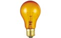 Westinghouse [03443] 25W Medium Decorative Party Light Bulb - Amber 535133