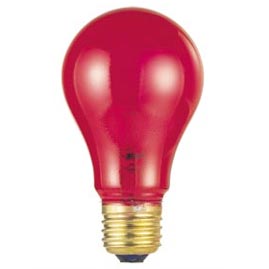 Halloween The Mob Song