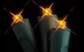 20L Flexchange LED Battery Operated String Lights - Amber/Green