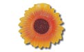 C7 Sunblooms Party String Lights - 836709