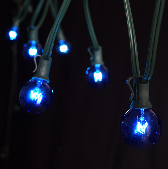 50 Foot Green Wire Blue Globe Light String