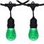 100' Green LED Black Suspended Light Strand Kit