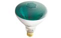 Westinghouse [04413] 100W PAR38 Floodlight Bulb - Green - 519669