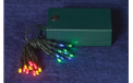 Battery Operated 20 LED Multi Color Tiny Lights Indoor & <u>Outdoor</u> - GC1706990