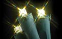 FLEXCHANGE™ LED String Light Strand - 50 Lights - Warm White/Brown Cord - 724240