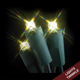 FLEXCHANGE™ LED String Light Strand - 50 Lights - Warm White/Twinkle Effect - Interchangeable LED String Light Strands &amp; Sets