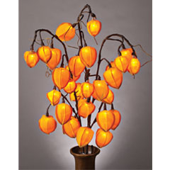 GC36854 31" Electric Chinese Lantern Lighted Branches