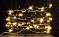 Warm White LED Micro String Light Battery Operated Silver Wire - GC39835                                           