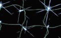 3' x 5' LED Indoor/Outdoor Net Style Cool White Stringlight Set - 904409