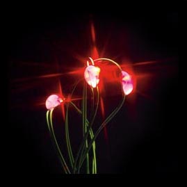 LED Battery Operated Ultra Thin Wire String Light Strand - 18 Red Lights - LED String Lights
