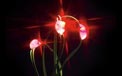 LED Battery Operated Ultra Thin Wire String Light Strand - 18 Red Lights 725041