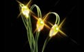 LED Battery Operated Ultra Thin Wire String Light Strand - 18 Amber/Yellow Lights 725042