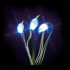 LED Battery Operated Ultra Thin Wire String Light Strand - 18 White Lights - LED String Lights