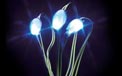 LED Battery Operated Ultra Thin Wire String Light Strand - 18 White Lights - 725045