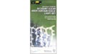 50 Count Window Icicle Party String Lights