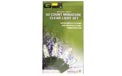 50 Count Clear Stringlight Set - Green Wire