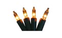 50 Count Clear Stringlight Set - Brown Wire