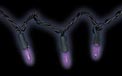 100 Count Outdoor/Indoor Miniature Purple String Light Strand Set - AI-0291